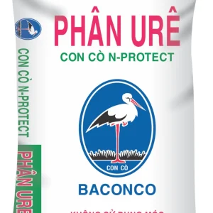 CON CÒ Urea N-PROTECT 50kg